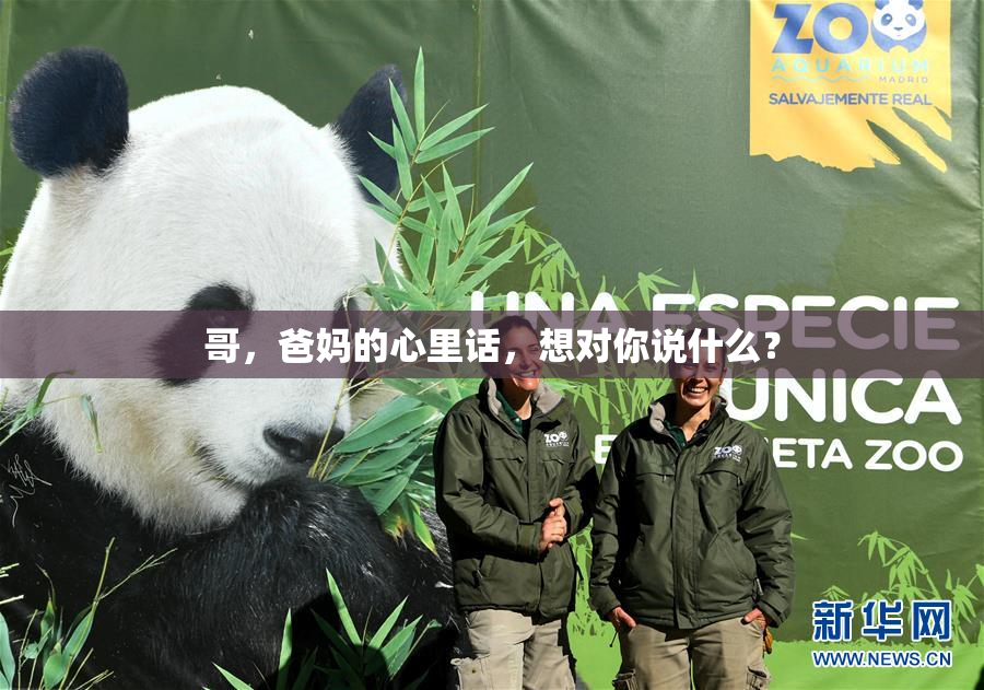 哥，爸妈的心里话，想对你说什么？
