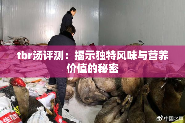 tbr汤评测：揭示独特风味与营养价值的秘密