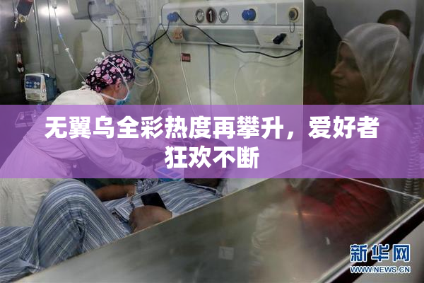 无翼乌全彩热度再攀升，爱好者狂欢不断