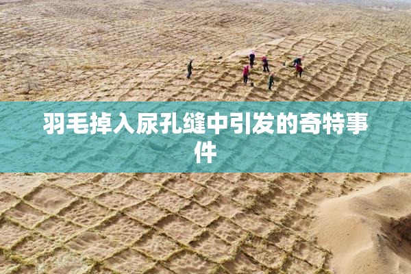 羽毛掉入尿孔缝中引发的奇特事件
