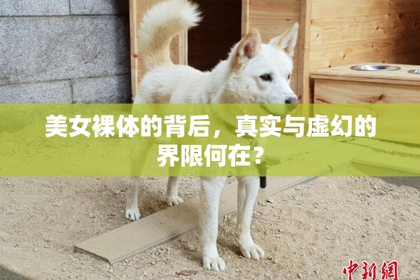 美女裸体的背后，真实与虚幻的界限何在？