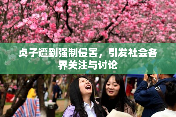贞子遭到强制侵害，引发社会各界关注与讨论