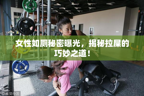 女性如厕秘密曝光，揭秘拉屎的巧妙之道！