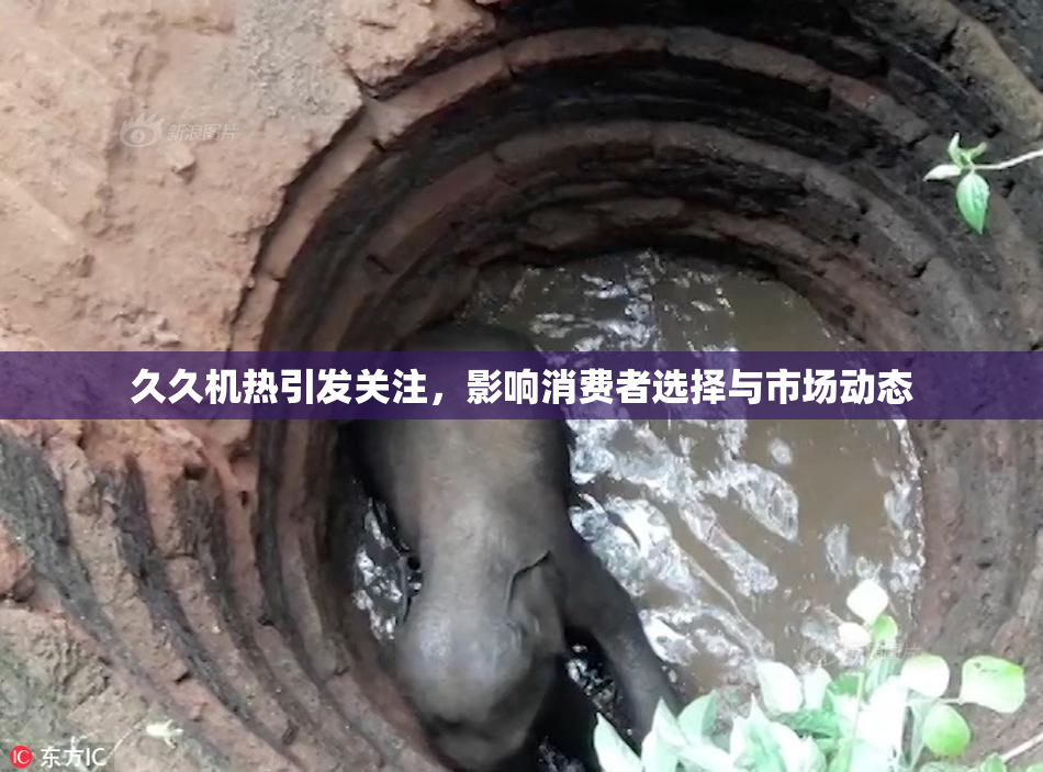 久久机热引发关注，影响消费者选择与市场动态