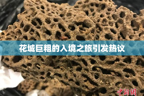 花城巨粗的入境之旅引发热议