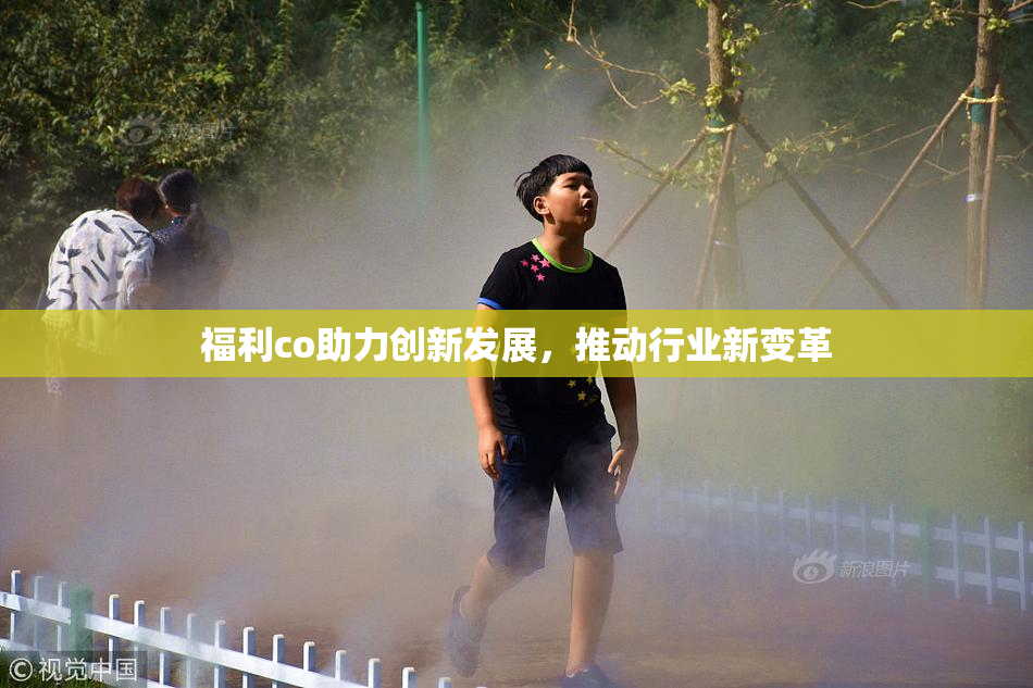 福利co助力创新发展，推动行业新变革
