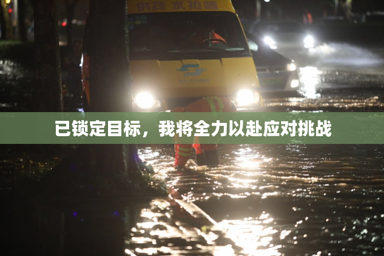 已锁定目标，我将全力以赴应对挑战