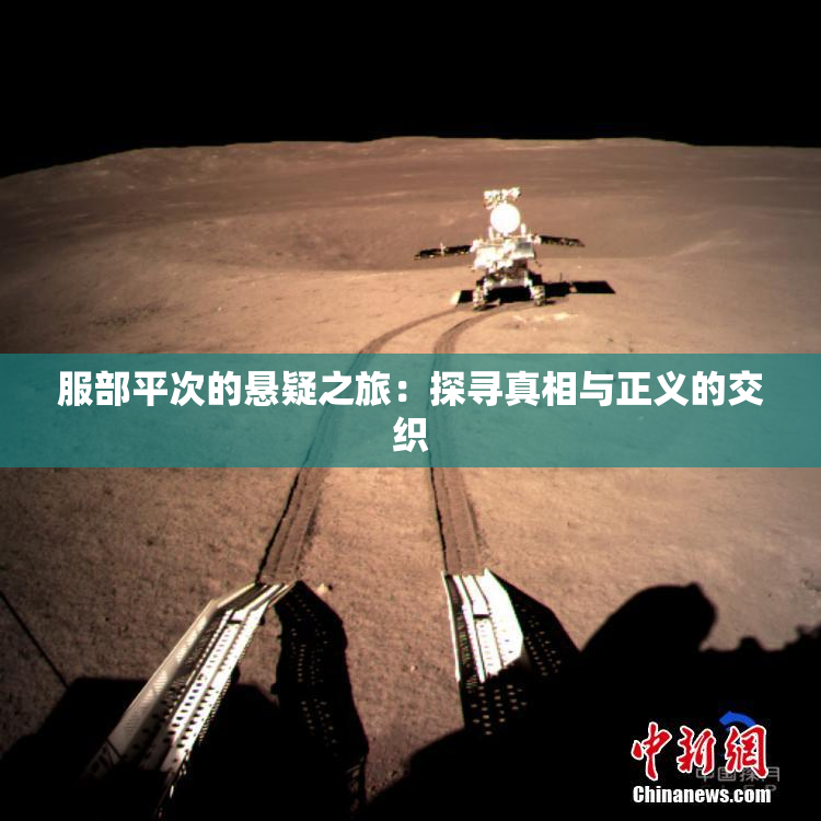 服部平次的悬疑之旅：探寻真相与正义的交织