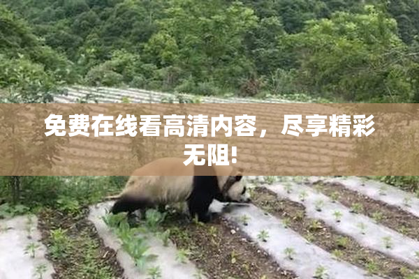 免费在线看高清内容，尽享精彩无阻!