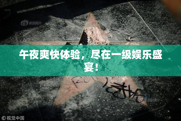 午夜爽快体验，尽在一级娱乐盛宴！