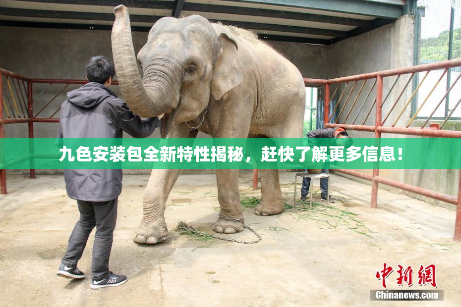 九色安装包全新特性揭秘，赶快了解更多信息！