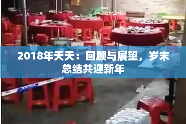 2018年天天：回顾与展望，岁末总结共迎新年