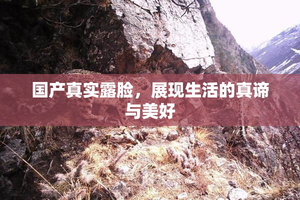 国产真实露脸，展现生活的真谛与美好