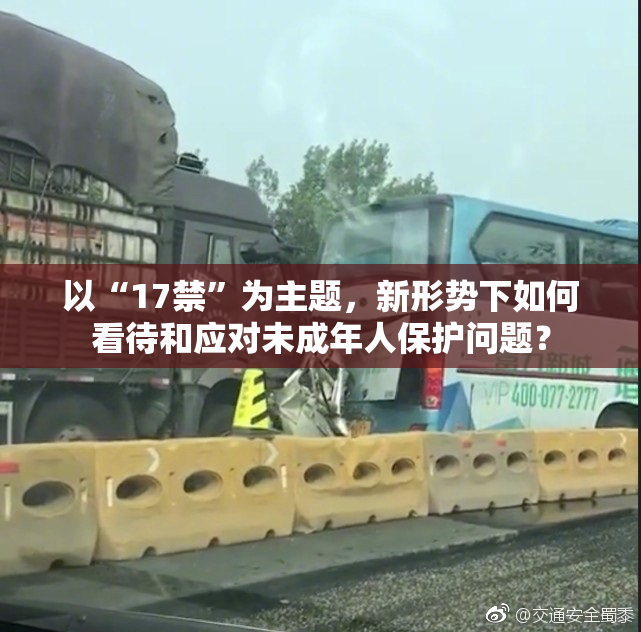 以“17禁”为主题，新形势下如何看待和应对未成年人保护问题？