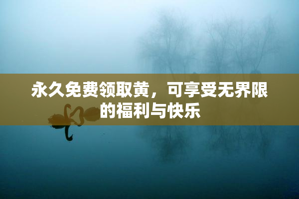 永久免费领取黄，可享受无界限的福利与快乐