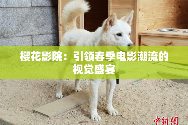 樱花影院：引领春季电影潮流的视觉盛宴