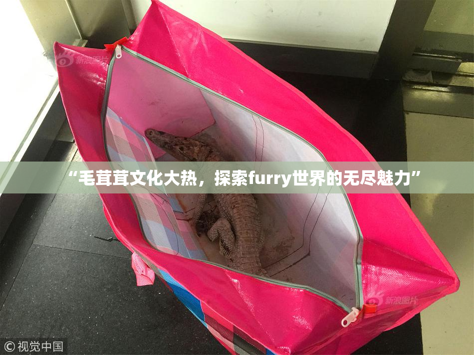 “毛茸茸文化大热，探索furry世界的无尽魅力”