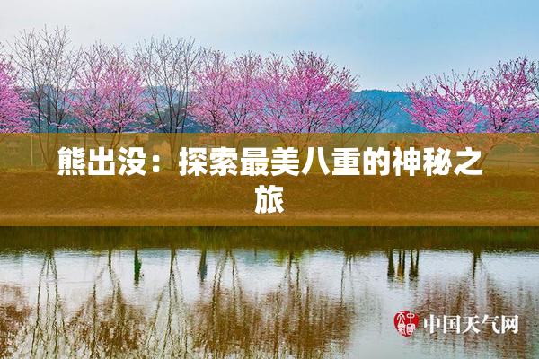 熊出没：探索最美八重的神秘之旅