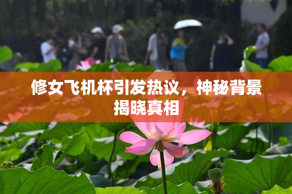 修女飞机杯引发热议，神秘背景揭晓真相
