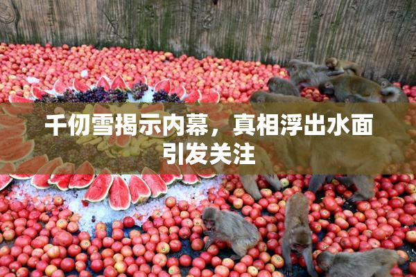 千仞雪揭示内幕，真相浮出水面引发关注