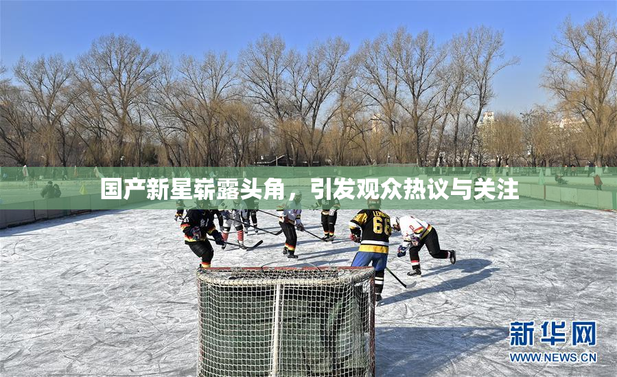国产新星崭露头角，引发观众热议与关注