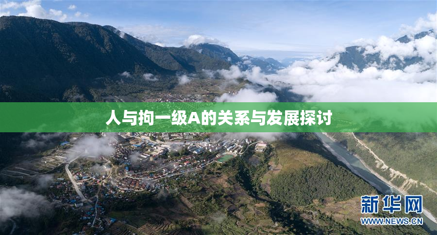 人与拘一级A的关系与发展探讨