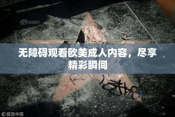 无障碍观看欧美成人内容，尽享精彩瞬间