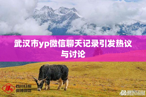 武汉市yp微信聊天记录引发热议与讨论