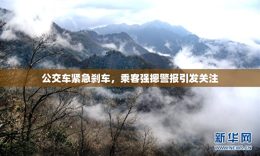公交车紧急刹车，乘客强摁警报引发关注