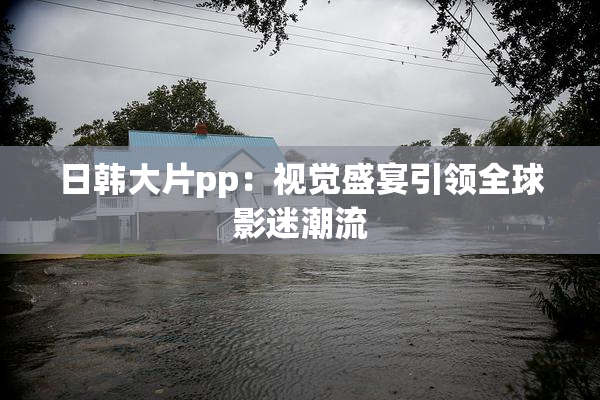 日韩大片pp：视觉盛宴引领全球影迷潮流