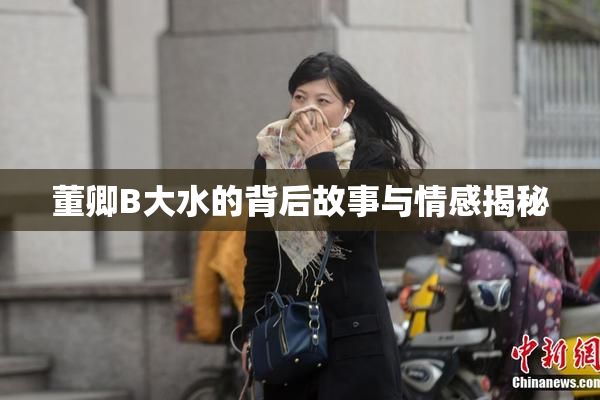 董卿B大水的背后故事与情感揭秘
