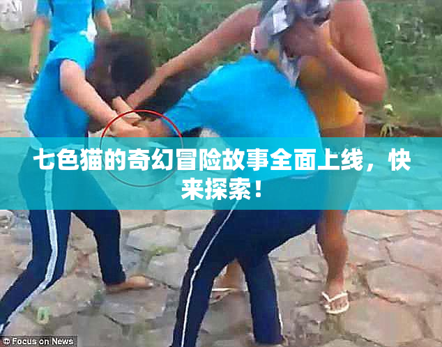 七色猫的奇幻冒险故事全面上线，快来探索！