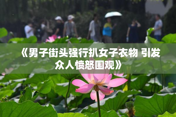 《男子街头强行扒女子衣物 引发众人愤怒围观》