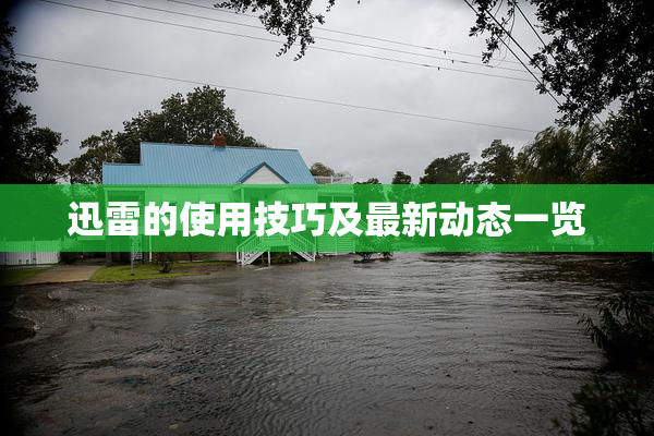 迅雷的使用技巧及最新动态一览