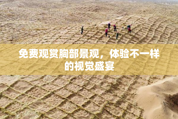 免费观赏胸部景观，体验不一样的视觉盛宴