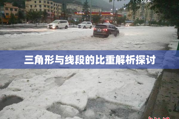 三角形与线段的比重解析探讨