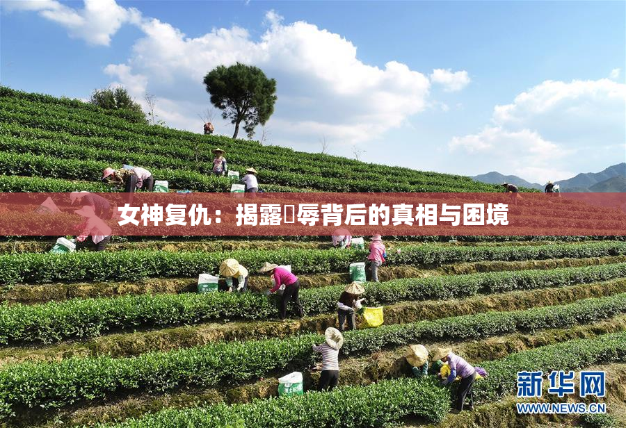 女神复仇：揭露婬辱背后的真相与困境