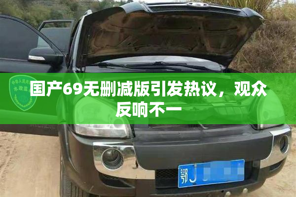国产69无删减版引发热议，观众反响不一