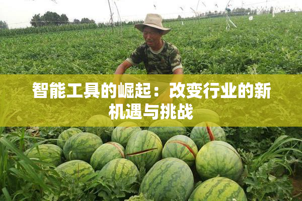 智能工具的崛起：改变行业的新机遇与挑战