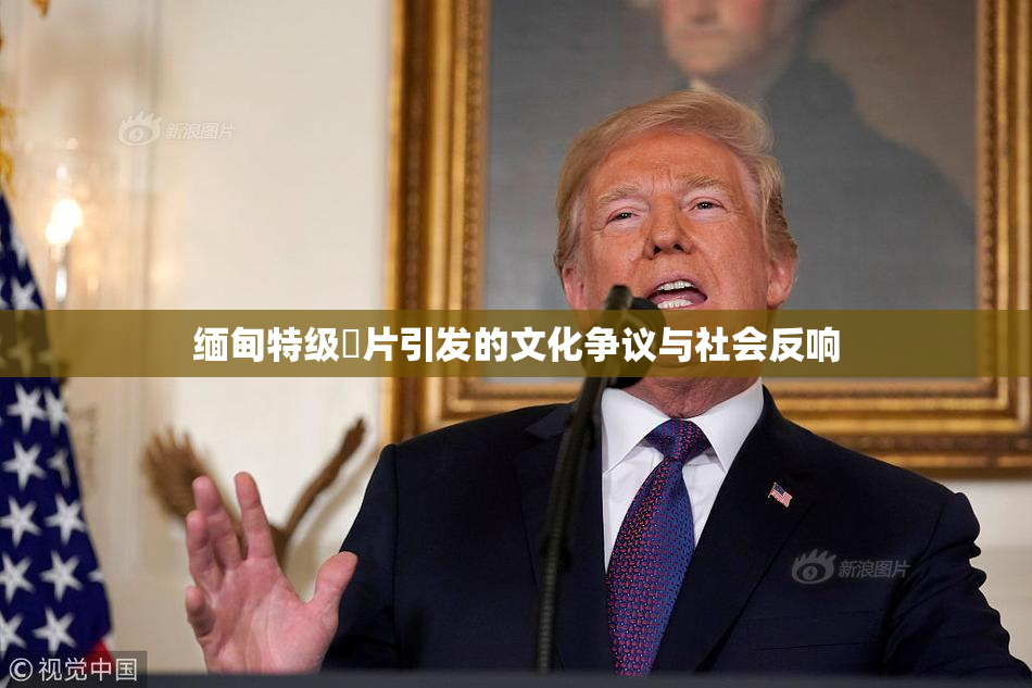 缅甸特级婬片引发的文化争议与社会反响