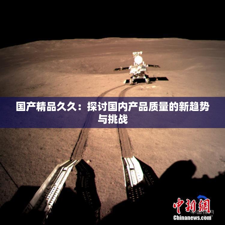 国产精品久久：探讨国内产品质量的新趋势与挑战