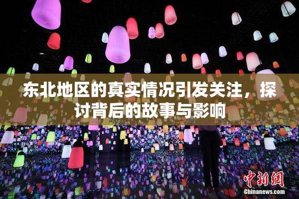 东北地区的真实情况引发关注，探讨背后的故事与影响