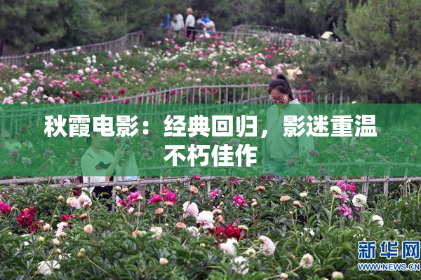 秋霞电影：经典回归，影迷重温不朽佳作
