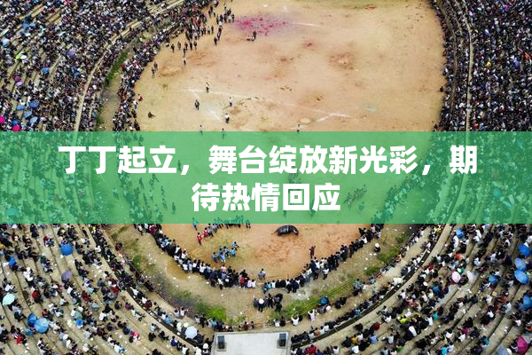 丁丁起立，舞台绽放新光彩，期待热情回应