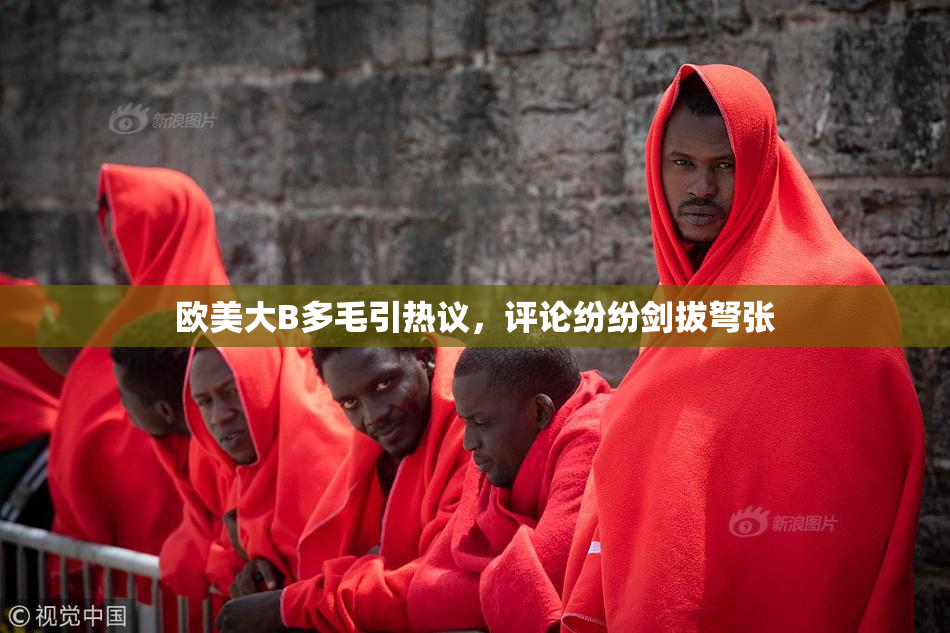 欧美大B多毛引热议，评论纷纷剑拔弩张