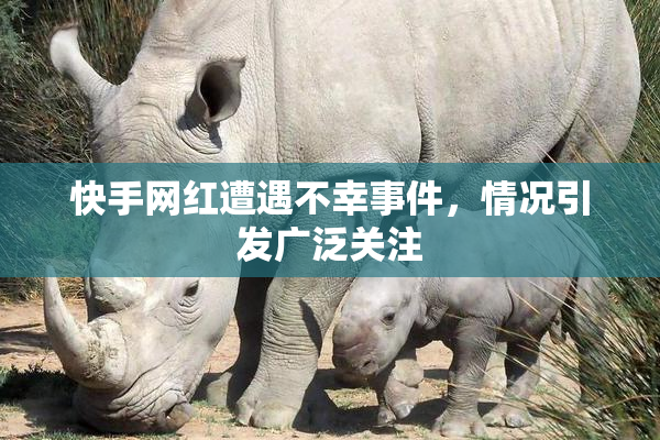 快手网红遭遇不幸事件，情况引发广泛关注