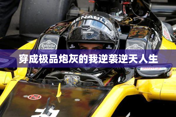 穿成极品炮灰的我逆袭逆天人生