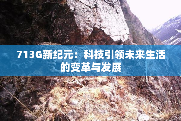 713G新纪元：科技引领未来生活的变革与发展