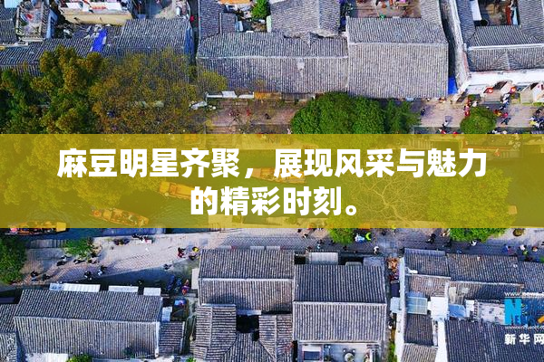 麻豆明星齐聚，展现风采与魅力的精彩时刻。