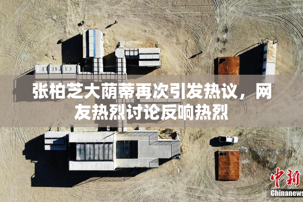 张柏芝大荫蒂再次引发热议，网友热烈讨论反响热烈